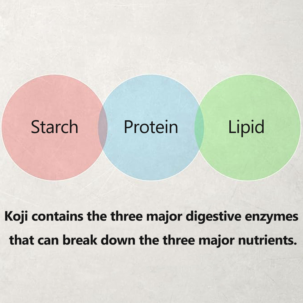 1 pieces 500g Dried Koji, All-purpose seasoning, Fermented food, Health food, Japanese food, ms-0031 - Image 4