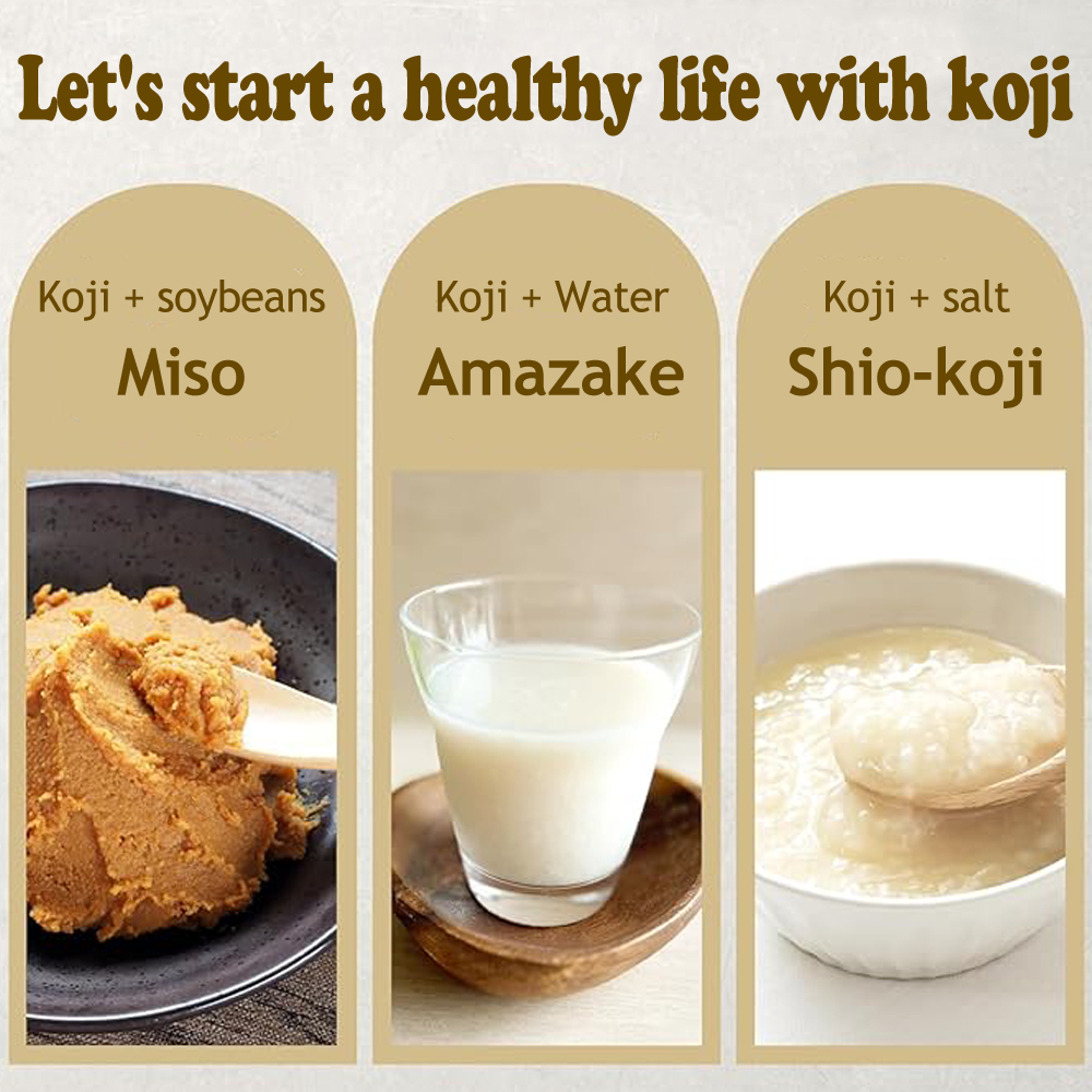 1 pieces 500g Dried Koji, All-purpose seasoning, Fermented food, Health food, Japanese food, ms-0031 - Image 5